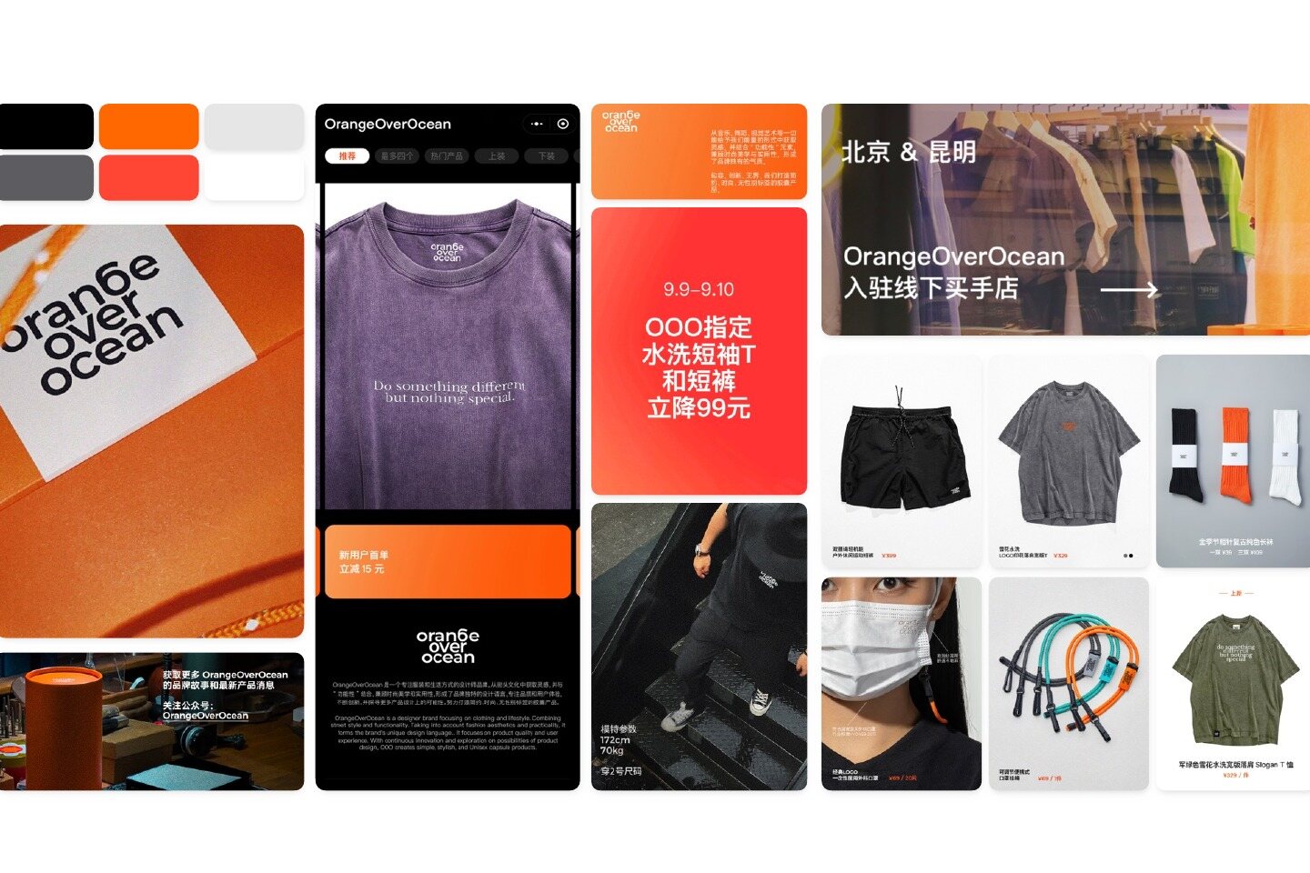 OrangeOverOcean® 项目展示图 5