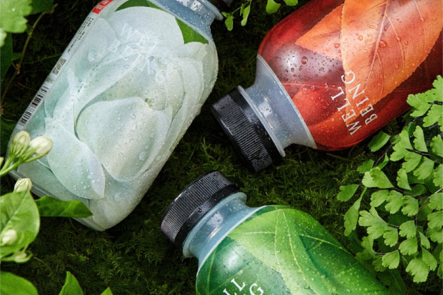 乐纯® WELLBEING™️ 代餐瓶 项目封面