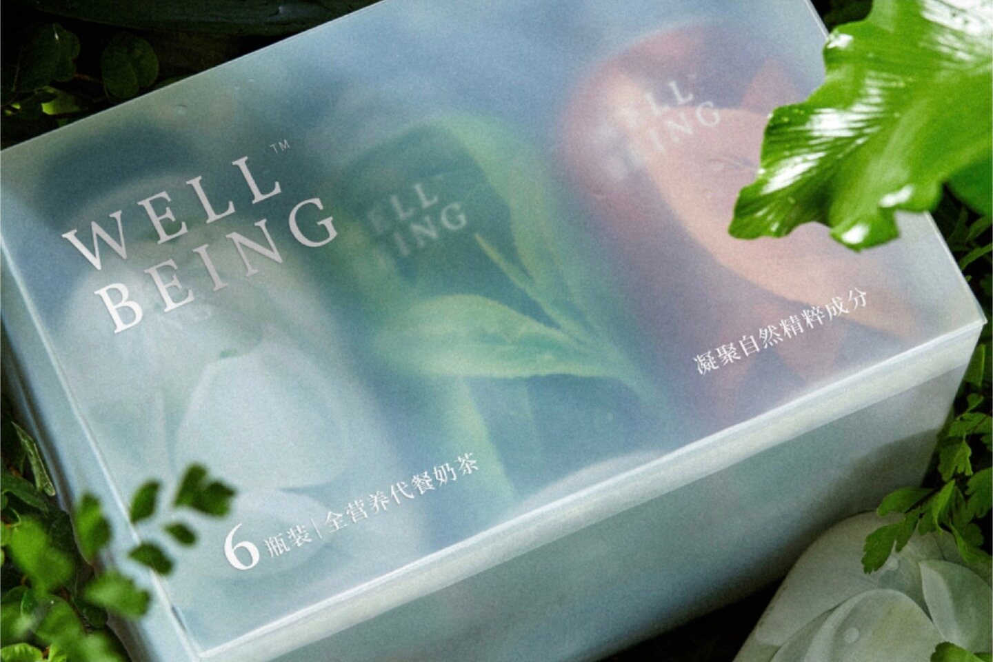 乐纯® WELLBEING™️ 代餐瓶 项目展示图 3